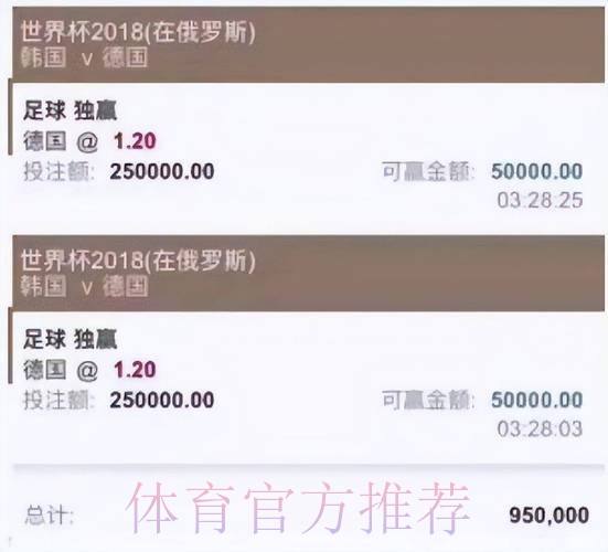 世界杯投注平台官方推荐，安全便捷投注平台